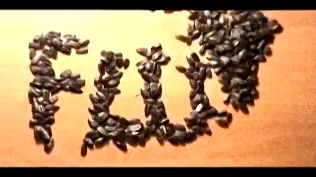 Запах женщины - сезон 2 смотреть онлайн