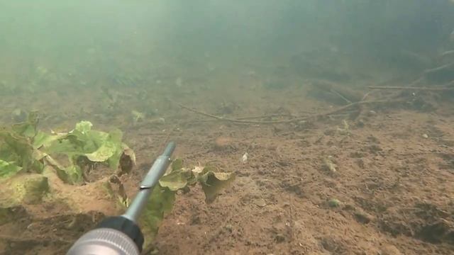 ТРОФЕЙНЫЙ ГОЛАВЛЬ!!! Подводная охота, река Пьяна. смотреть онлайн