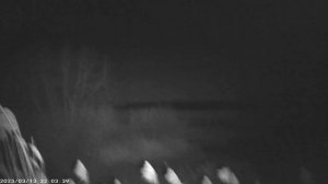 Тест фонаря 940 нм невидимый