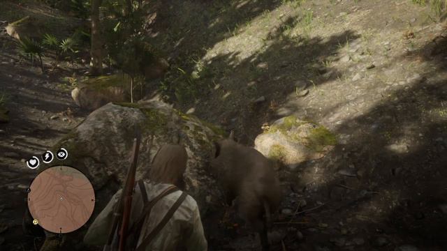 Red Dead Redemption 2_запинал кабана смотреть онлайн