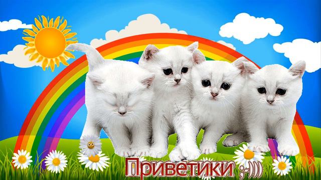 Приветики Футаж смотреть онлайн