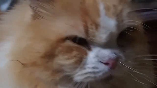 Olympus Pen Lite E-pl3. Titus,the Munchkin