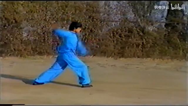 Ляонинский танлан цюань или 