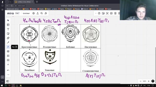 ЕГЭ Биология | ДИАГРАММА ЦВЕТКА смотреть онлайн