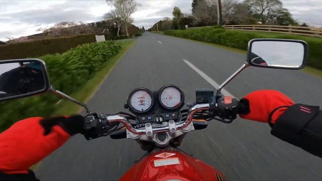 HONDA VTR 250 | Motovlog Country Road Cruising смотреть онлайн