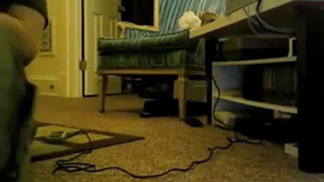 Возбужденный кот и приставка смотреть онлайн