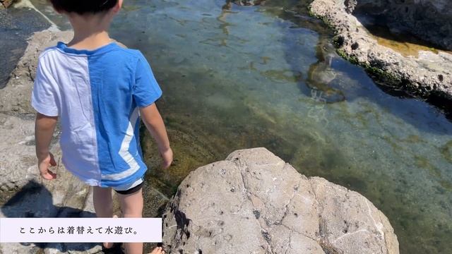 ポケモンユナイトコラボのシーパラに行ってきた【4K】【八景島シーパラダイス】【ポケモンユナイト】 смотреть онлайн