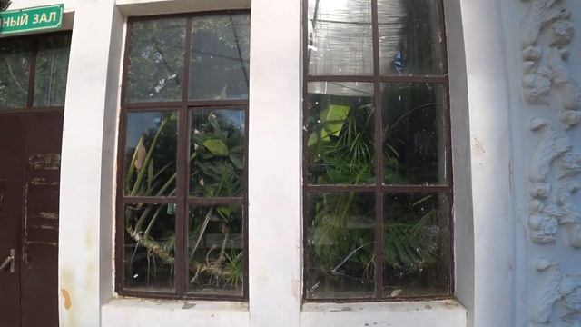 Дендрарий в Сочи. Верхний и нижний дендрарий. Канатная дорога. смотреть онлайн