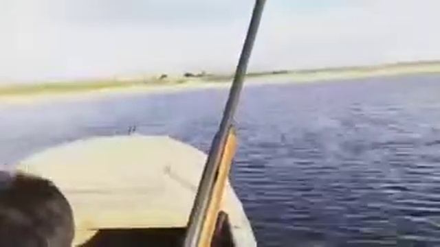 Таджики охотится уток смотреть онлайн