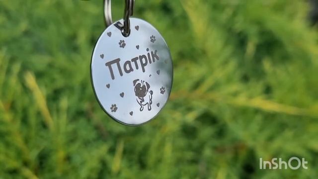 Адресники и жетоны для животных с лазерной гравировкой смотреть онлайн