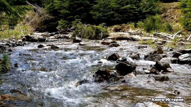 В парке малыш попросил богача сделать кораблик из листка бумаги, а едва миллионер увидел записку... смотреть онлайн