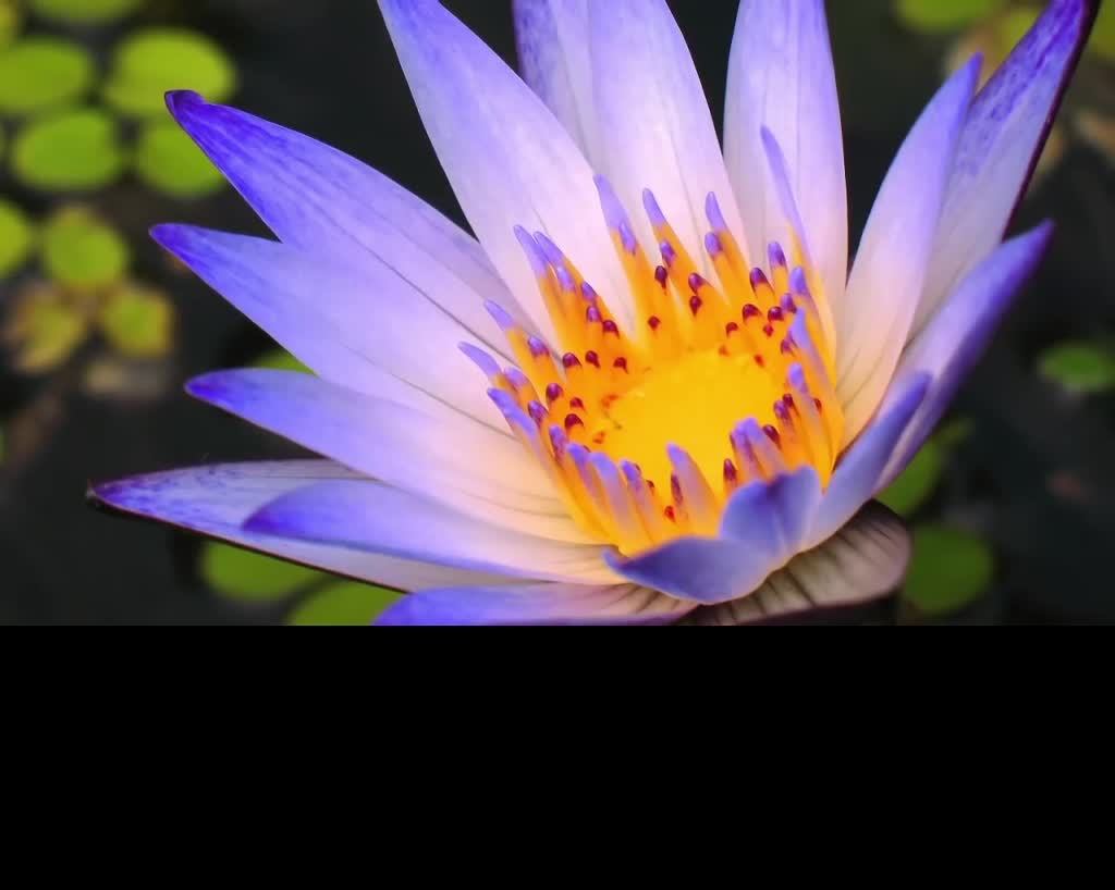 Релакс музыка для спокойного сна смотреть онлайн