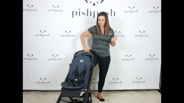 2022 Bugaboo Butterfly Review смотреть онлайн