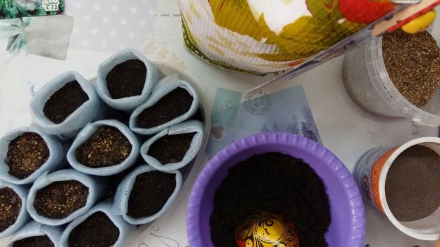 Рассада цветной капусты — тонкости процесса. смотреть онлайн