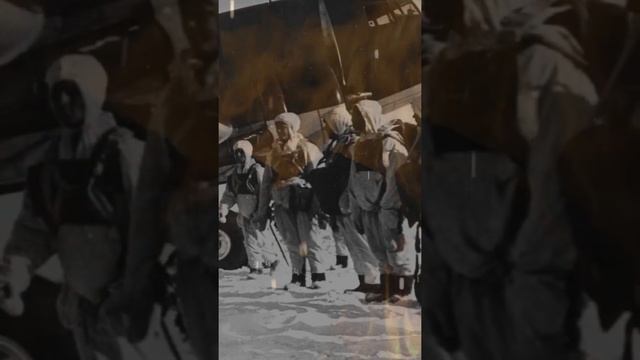 Как советские десантники зимой-41 года без парашютов прыгали смотреть онлайн