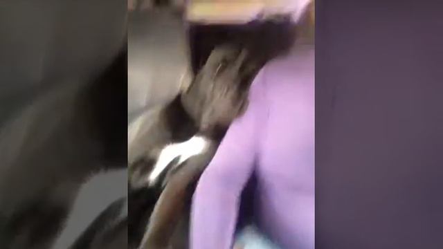 Ничто человеческое нам не чуждо смотреть онлайн