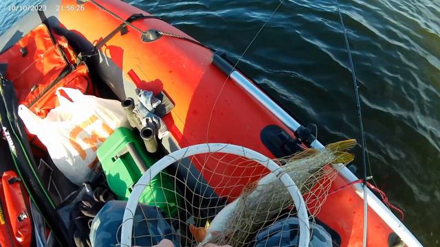 Рыба на первом забросе. Работа Zetrix Hayron 2,4М. Октябрь 2023.