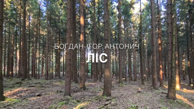 Богдан-Ігор Антонич «Ліс» смотреть онлайн