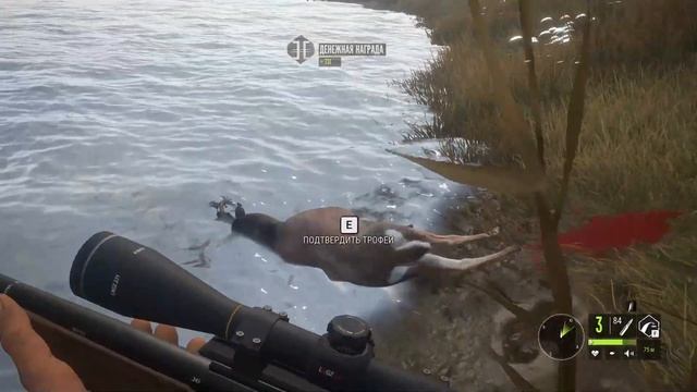 theHunter Call of the Wild ✅ DLC ✅ ТОП - 5 ДЛС ?️ смотреть онлайн