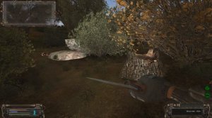 Вороньи яйца в Забытом лесу ОП 2.1