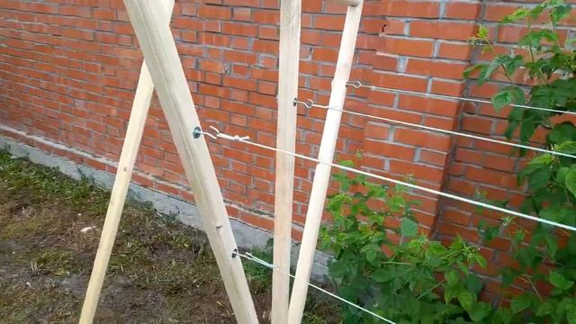 Шпалера для малины.