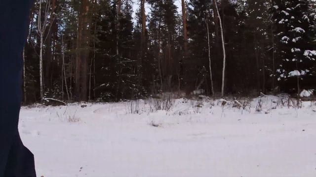 к ёлкам goes to fir tree in winter смотреть онлайн