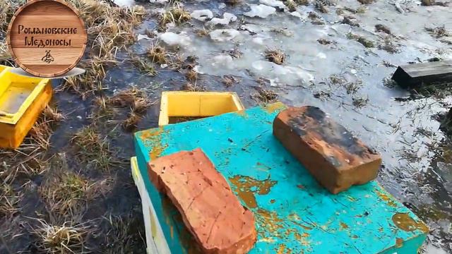 ПЕРВАЯ НЕ БОЛЬШАЯ РАБОТА НА ПАСЕКЕ в 2020 году смотреть онлайн