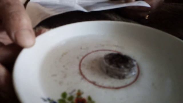 Обман с "Чудо ягодница Сказочный сбор" смотреть онлайн