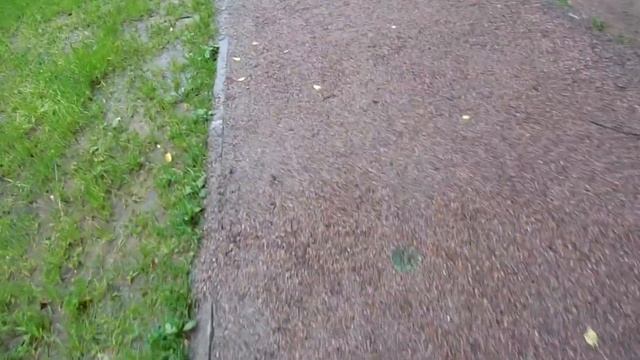 Видео тест на улице летом Nikon CoolPix S5200 смотреть онлайн