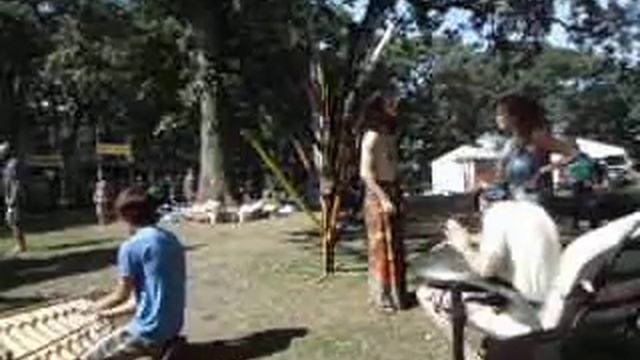 Bamboo Xylophone and a Hang Drum смотреть онлайн