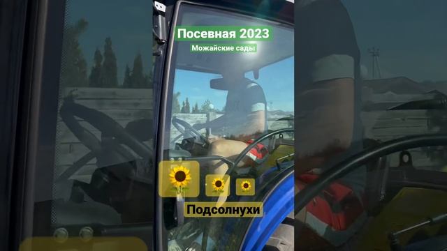 Посадка подсолнухов. Как это сделать? #барнхаус #дом #дача #строительство #барн #коттедж #посевная смотреть онлайн