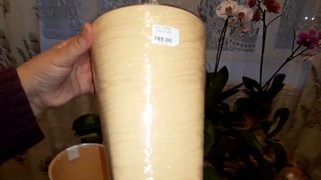 Всё для орхидей: кашпо, мох, бирочки, спрей экогель. Осторожно! Сентябрьское солнце очень опасно!!! смотреть онлайн