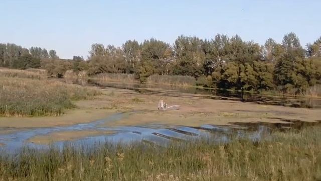 Аэро лодка в чернянке