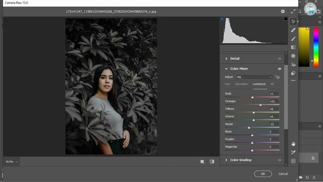 How Photo Editing Tutorial in Adobe Photoshop in 5 Mints Camera RAW Filter 2022 смотреть онлайн