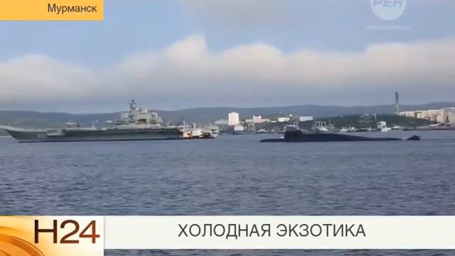 14 05 Холодная экзотика смотреть онлайн