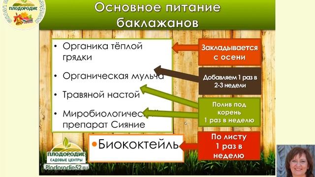 БАКЛАЖАНЫ Выращивание в грунте Защита от болезней и вредителей смотреть онлайн