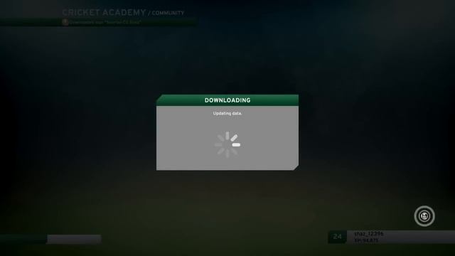 Don Bradman Cricket 17 | How to assign cricket bats to players смотреть онлайн