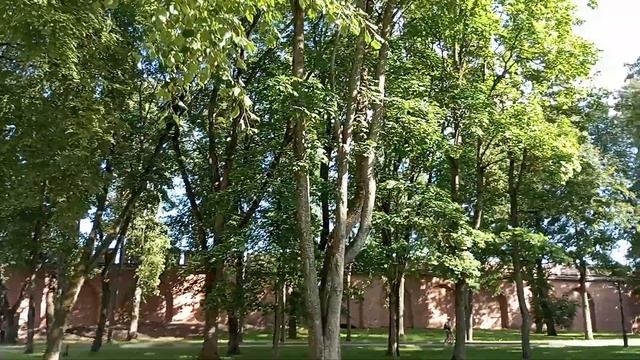 Кремль Великий Новгород,не экскурсия,а прогулка,сердцем смотреть онлайн