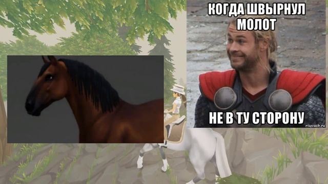 Обновление в Стар Стейбл/ Новые липицианы и пинтабианы/ немного о читерах смотреть онлайн