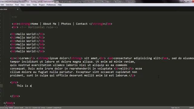 BD Pathshala - Mizan’s Web Ninjas – 5 – Formatting Related Tags and their proper usage! смотреть онлайн