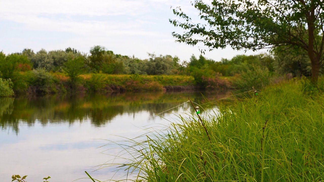 РЫБАЛКА НА ЗАКИДУШКИ И ПОПЛАВОК. КАРАСИ ОЧЕНЬ ВКУСНЫЕ и ТОЛЬКО ИЗ РЕКИ. Рыбалка на крупного карася. смотреть онлайн