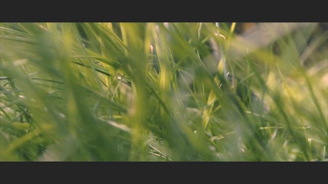 Nikon 1 V1 Test Video - Raise Of Krak смотреть онлайн