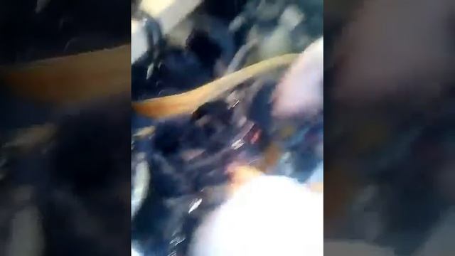 Снимаем каробку Рено кенго часть2 смотреть онлайн