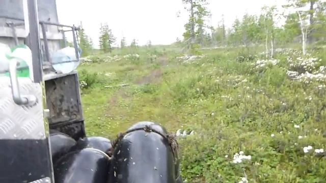 комары и мошка Ямало Ненецкий Автономный округ