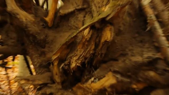 Pentax K5 Video Test Kit Lens, Beauty of the Nature 1080P смотреть онлайн