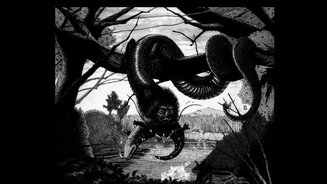 Татцельвурм ("Червь с кошачьими лапами", Шпрингвурм, Штолленвурм, Хазельвурм, Мурбль ) - Tatzelwurm смотреть онлайн