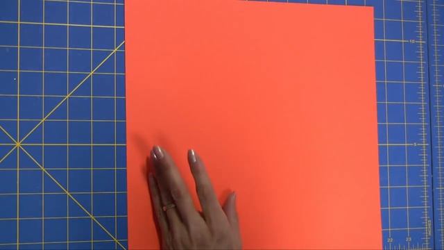 Binding Systems Part 2: The Cinch Vs Bind-It-All смотреть онлайн