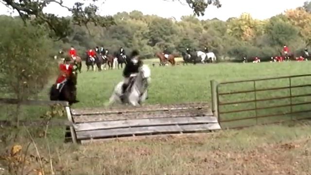 Opening Day Fox Hunt - Jumping a coop смотреть онлайн