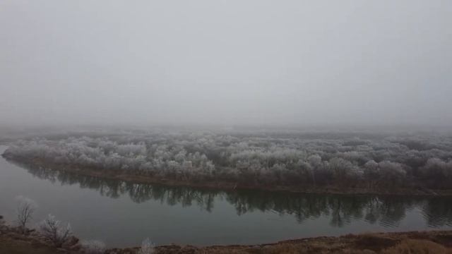 Санаторий Белая Горка Богучарский район Воронежская область смотреть онлайн