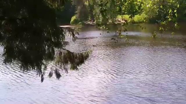 Звуки природы.